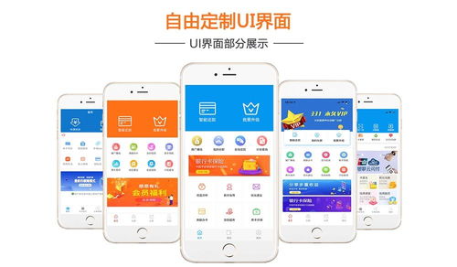 選擇正規靠譜的代還app開發公司 北京軟件開發的全面指南